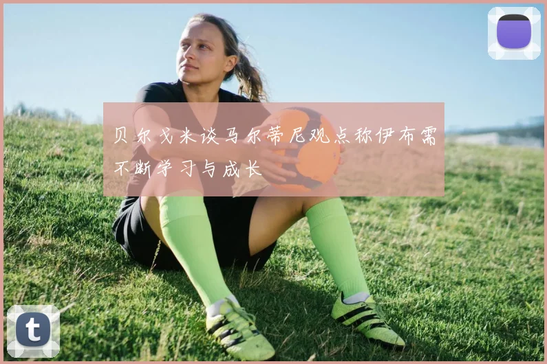 贝尔戈米谈马尔蒂尼观点称伊布需不断学习与成长