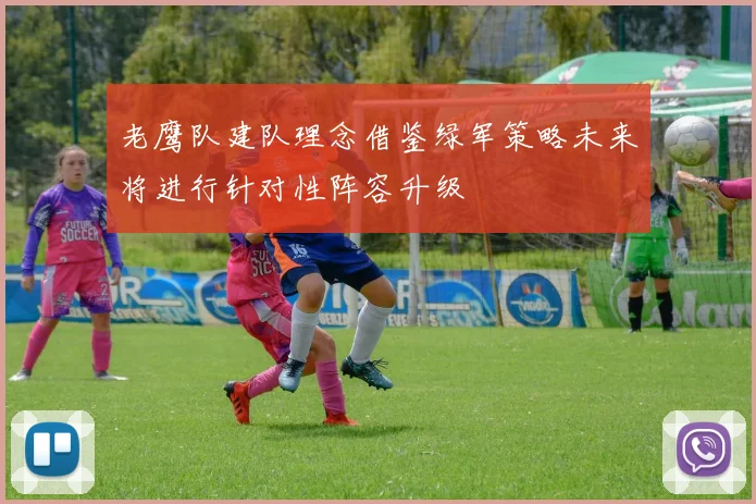 老鹰队建队理念借鉴绿军策略未来将进行针对性阵容升级