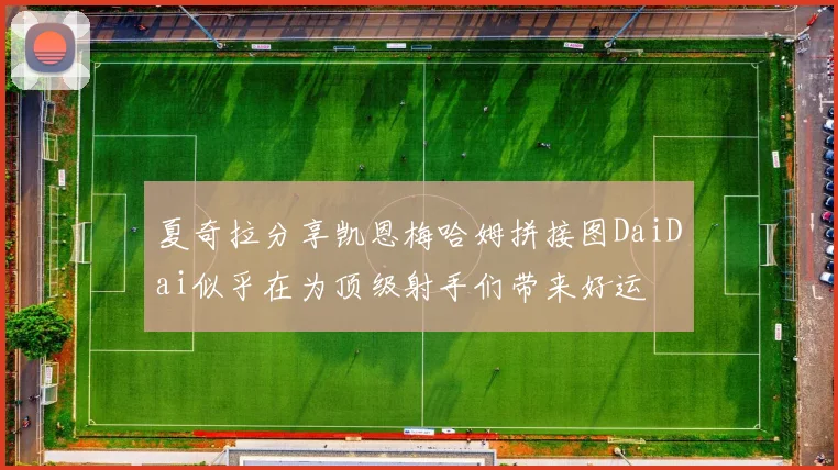 夏奇拉分享凯恩梅哈姆拼接图DaiDai似乎在为顶级射手们带来好运