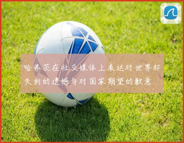 哈弗茨在社交媒体上表达对世界杯失利的遗憾与对国家期望的歉意
